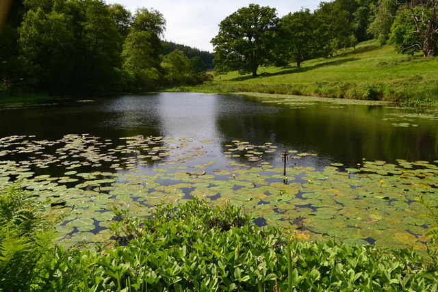 Stourhead Garden: lily pond